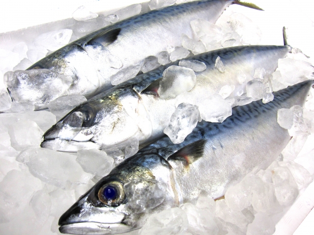鮮魚 骨無し魚切り身